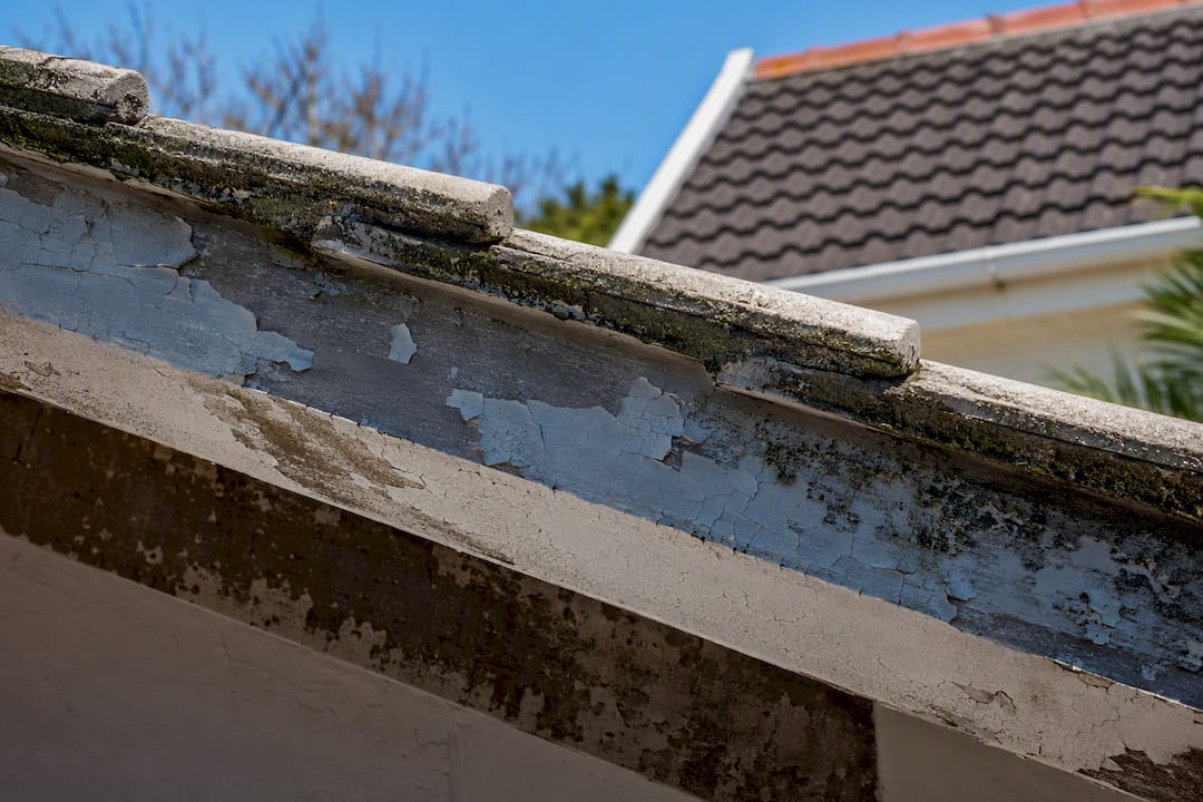 Blistered roof paint with moisture damage