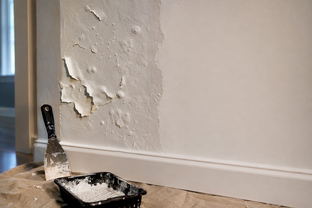 Blistered paint beside repaired dry plaster
